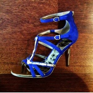 Beautiful Sam Edelman cobalt blue and gold sandals